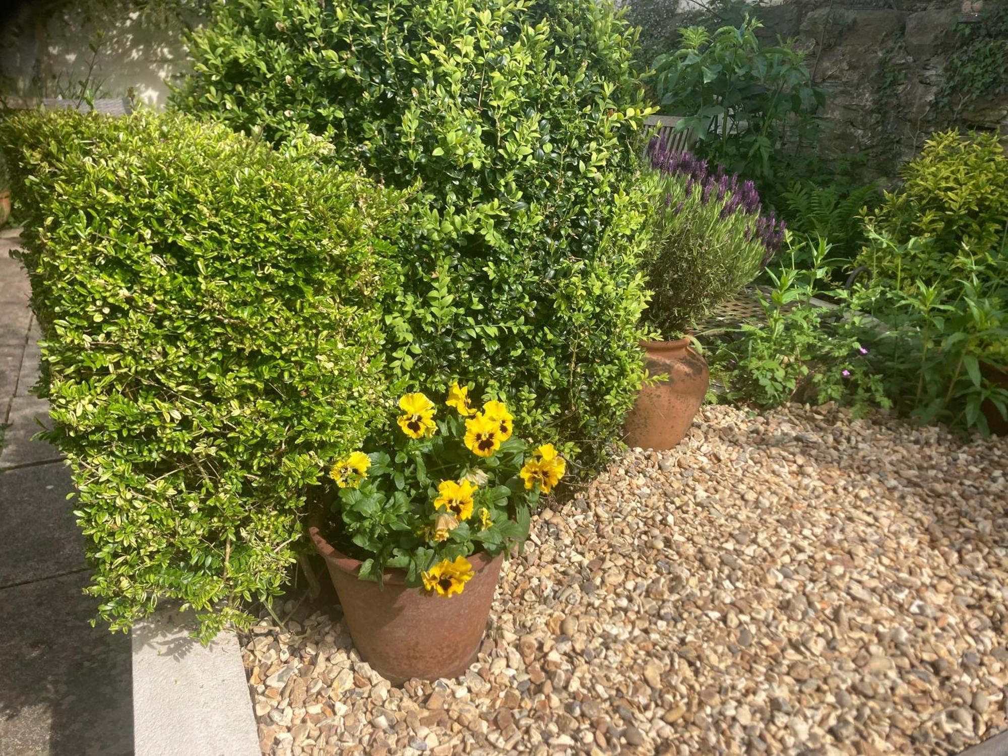 Bryntirion Farmhouse Apartment With Hot Tub Llanfair Caereinion ภายนอก รูปภาพ